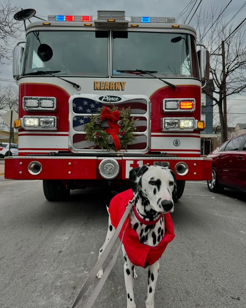 Bruno the Firehouse Guardian