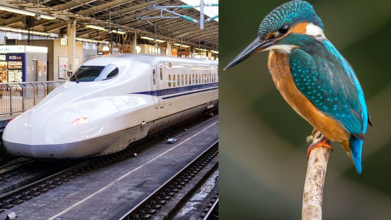 Bullet Trains Modeled After Kingfishers