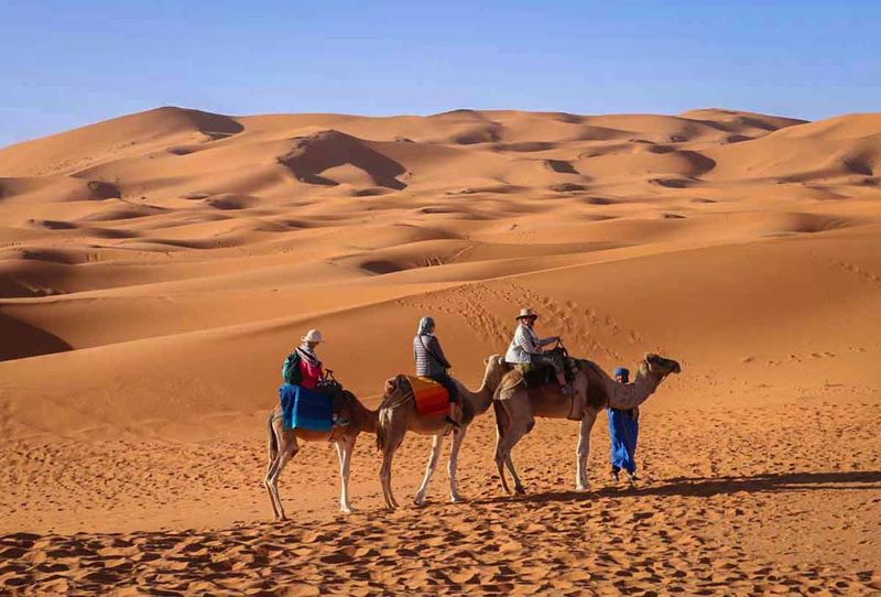 Camel Safari in the Sahara, Morocco