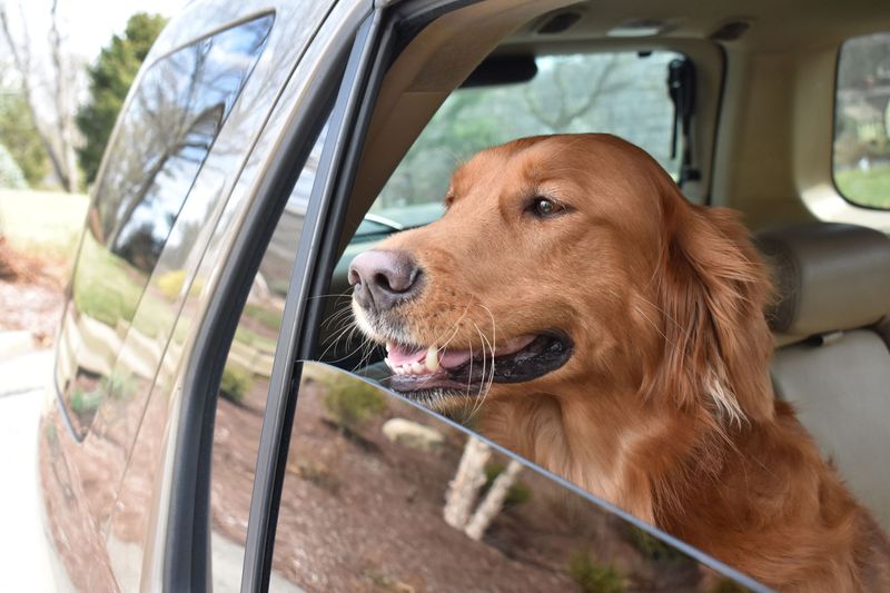 Car Rides