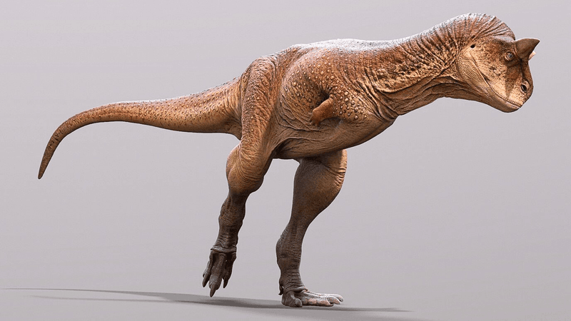 Carnotaurus