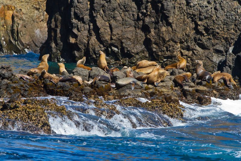 Channel Islands National Park