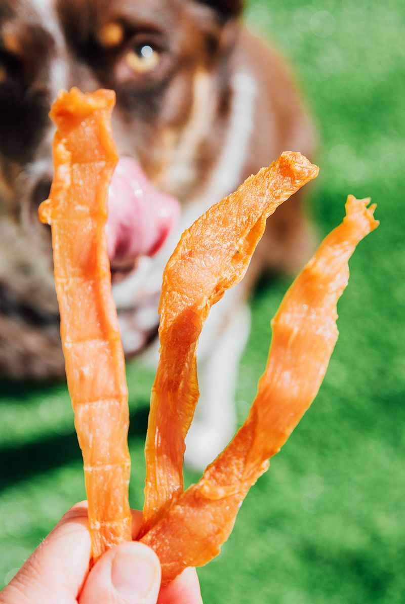 Chicken and Sweet Potato Jerky