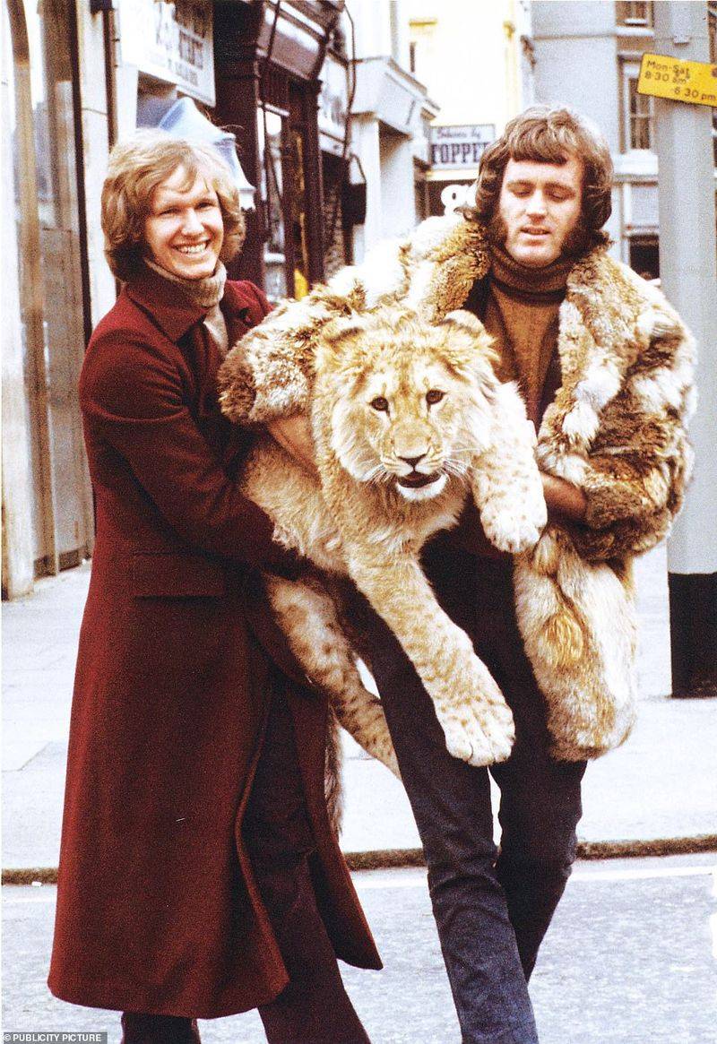 Christian the Lion