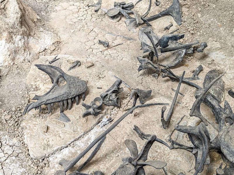 Cleveland-Lloyd Dinosaur Quarry, Utah