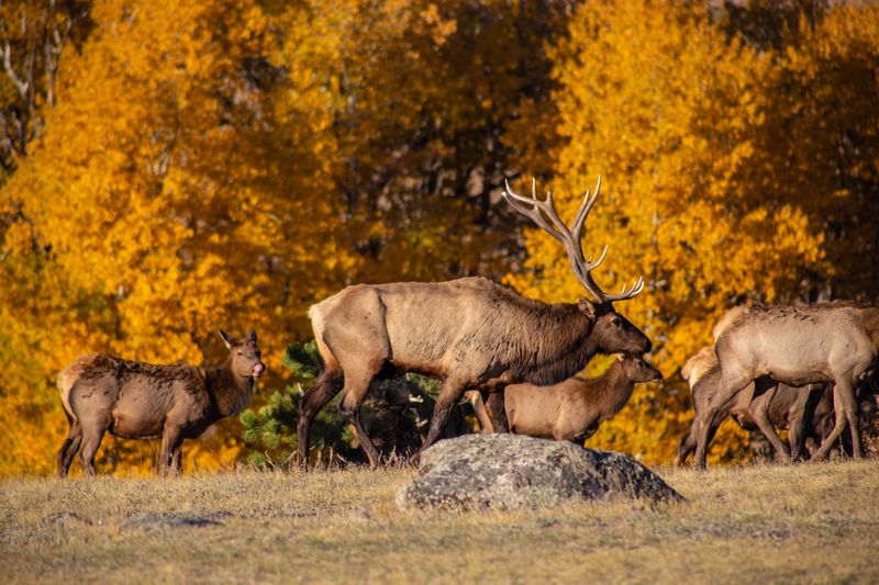 Colorado