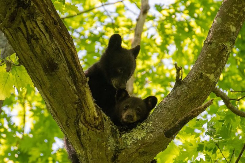 Connection to Nature