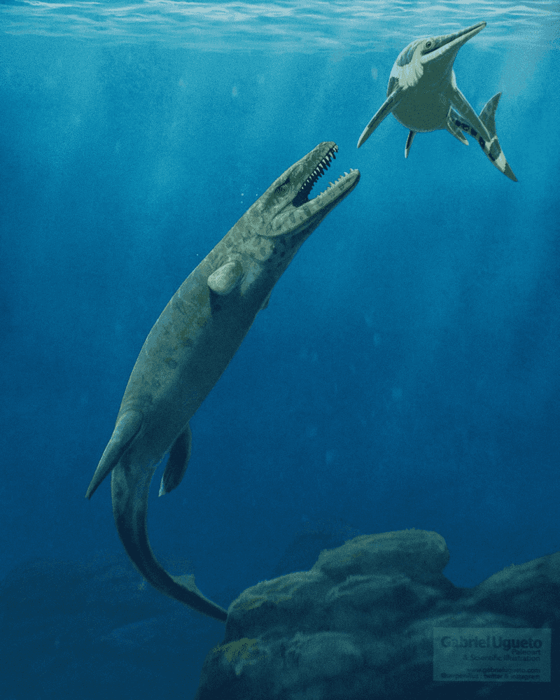 Dakosaurus