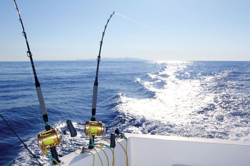 Deep-Sea Fishing