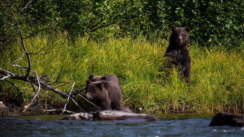 Denali National Park and Preserve