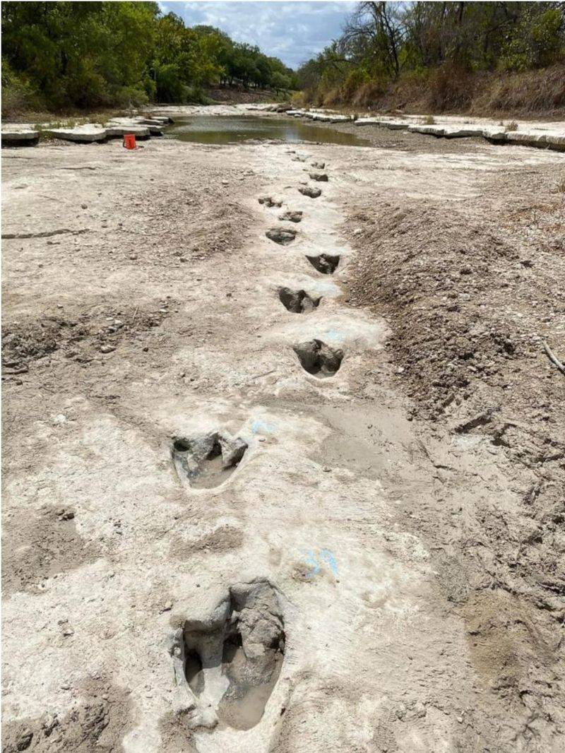 Dinosaur Valley State Park, Texas