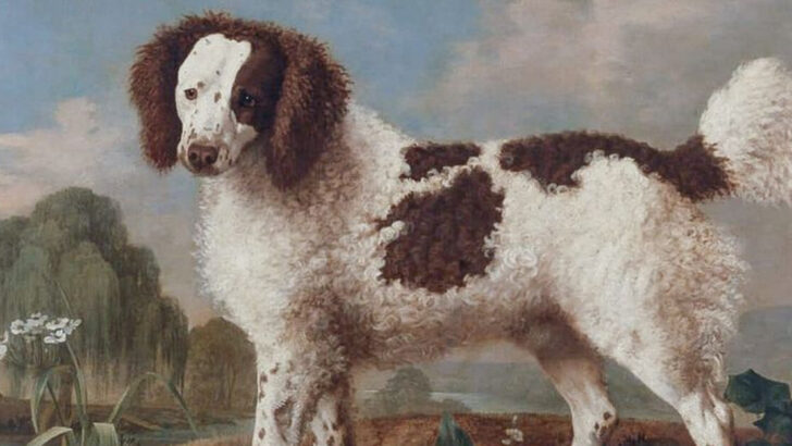 20 Dog Breeds That Went Extinct And Why We Miss Them