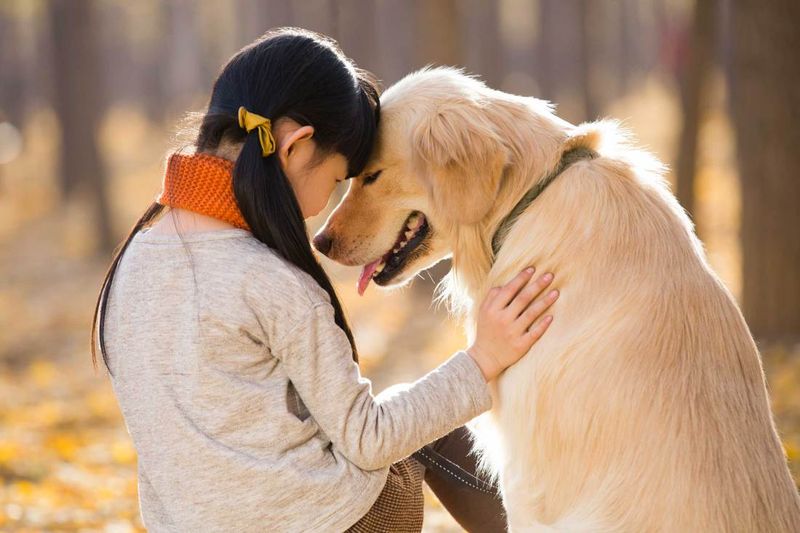 Dog Emotional Intelligence