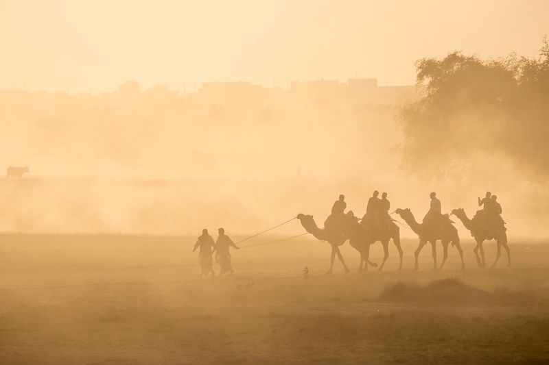 Dust Storm Resistance