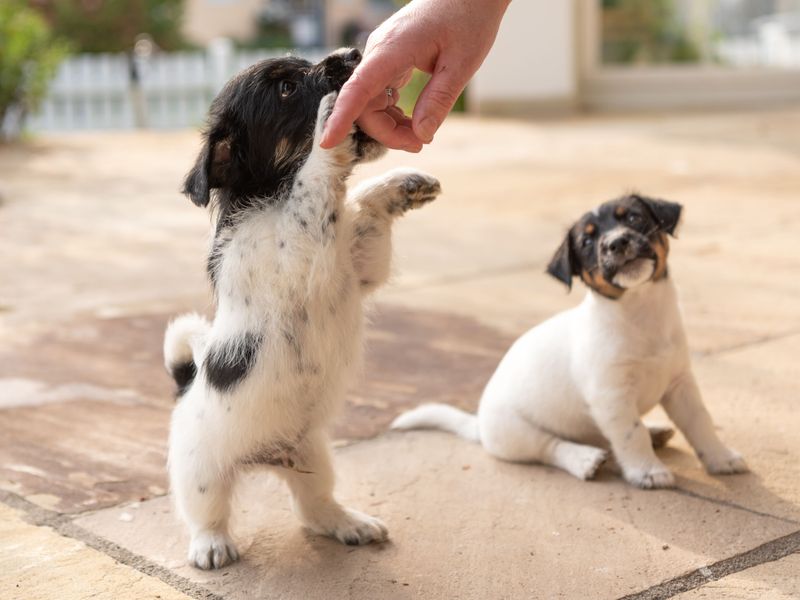 Encourage Gentle Play