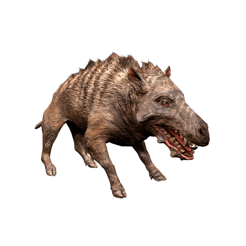 Entelodon