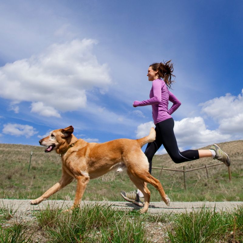 Exercise Partners