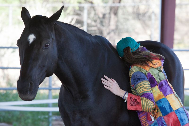 Fact: Horses Can Read Human Emotions