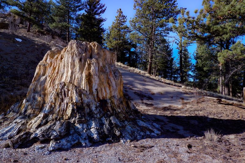 Florissant Fossil Beds National Monument, Colorado