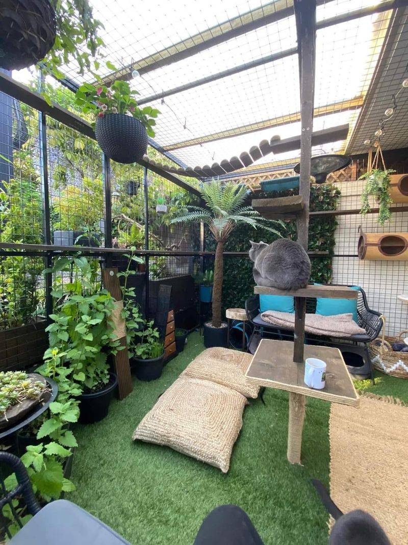 Garden Oasis Catio