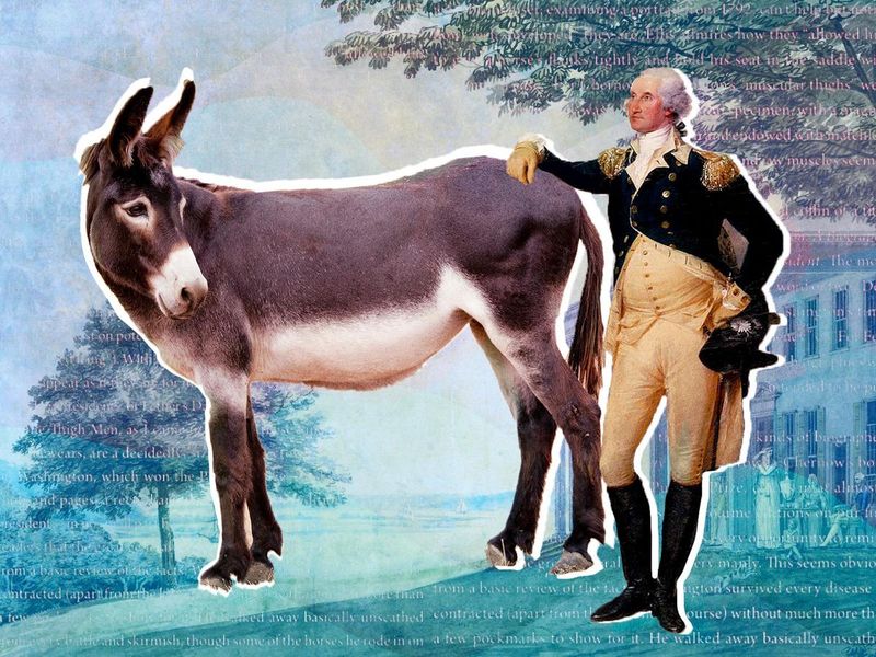 George Washington’s Donkey, Royal Gift