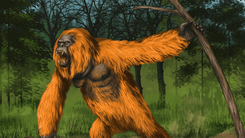 Gigantopithecus