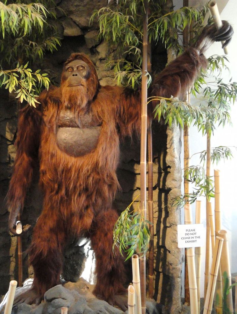 Gigantopithecus