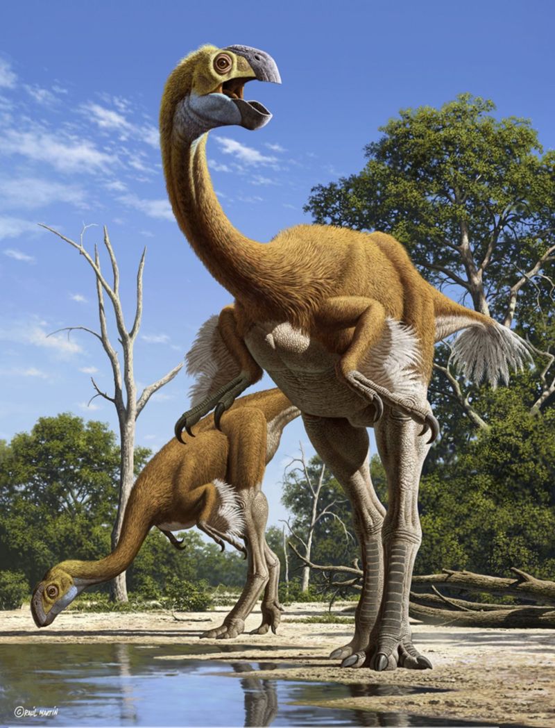 Gigantoraptor