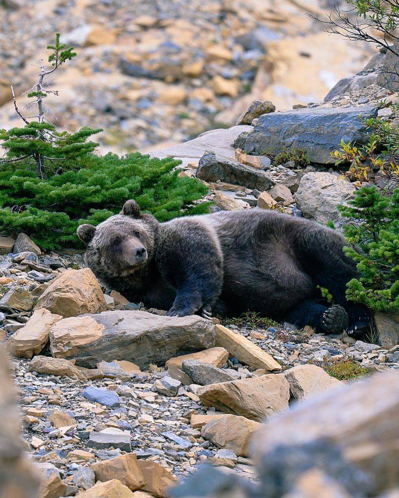 Glacier National Park, Montana