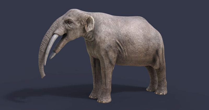 Gomphotherium productum