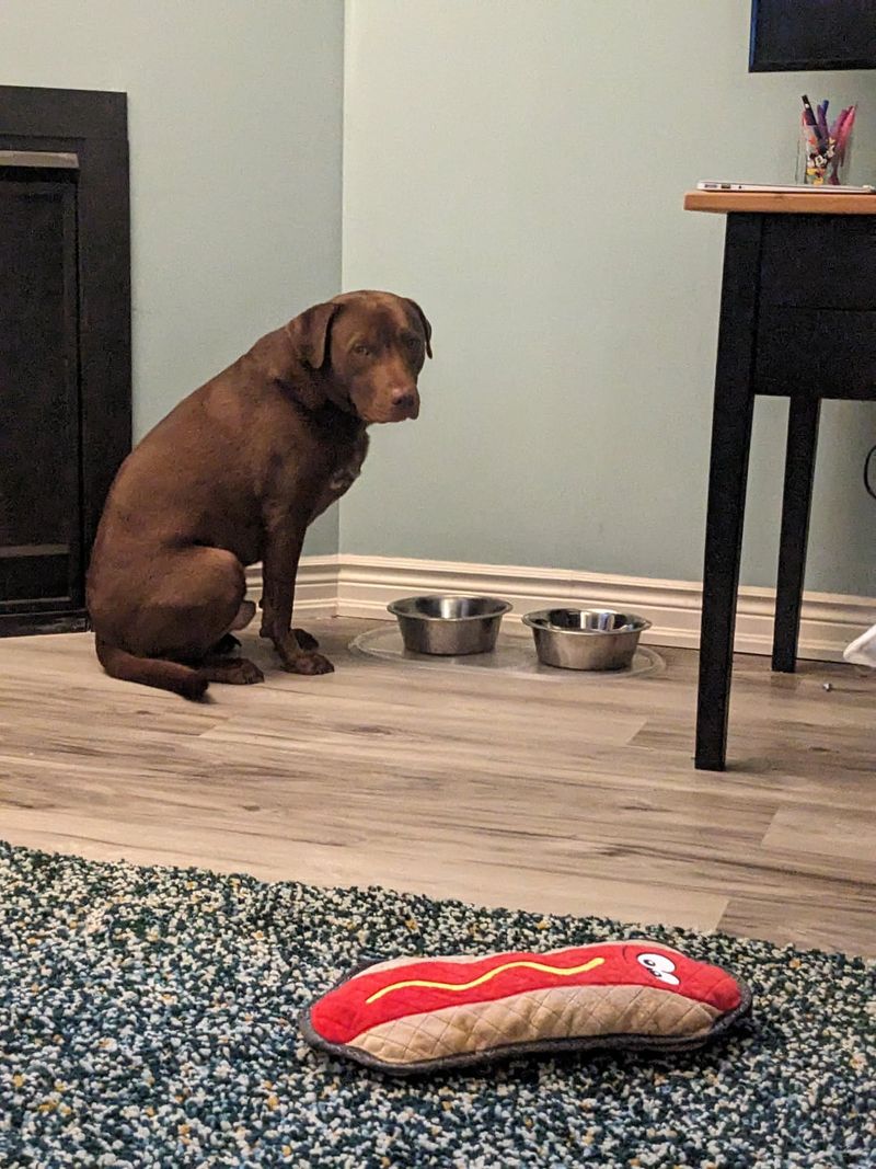 Guarding Food Aggressively