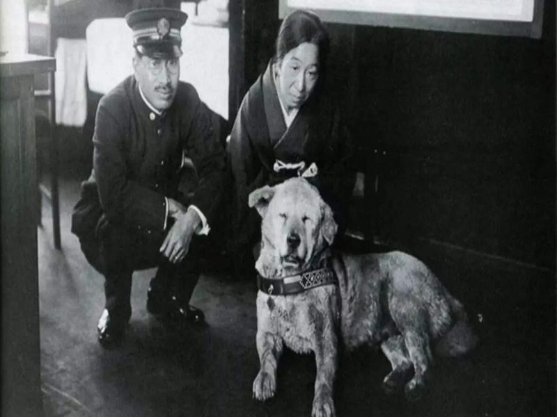 Hachiko