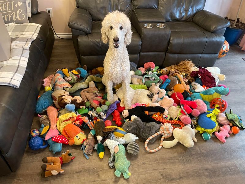 Hoarding Toys