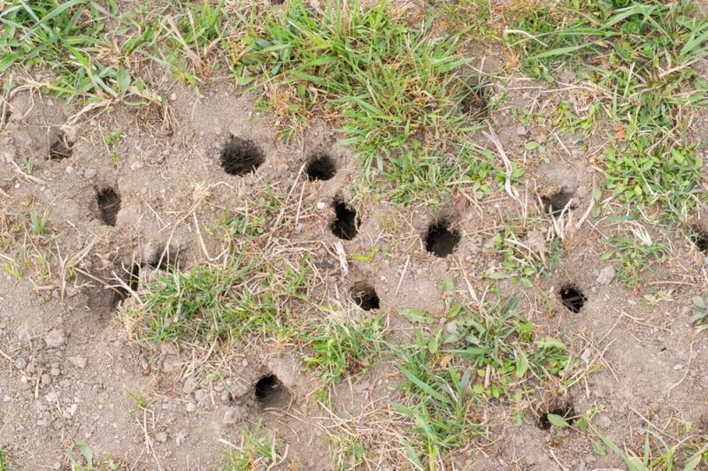 Holes in the Ground