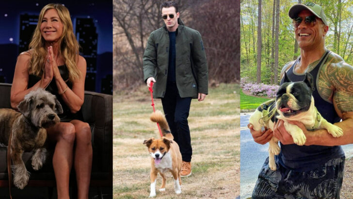 20 Hollywood Icons and the Pets That Make Their Lives Complete