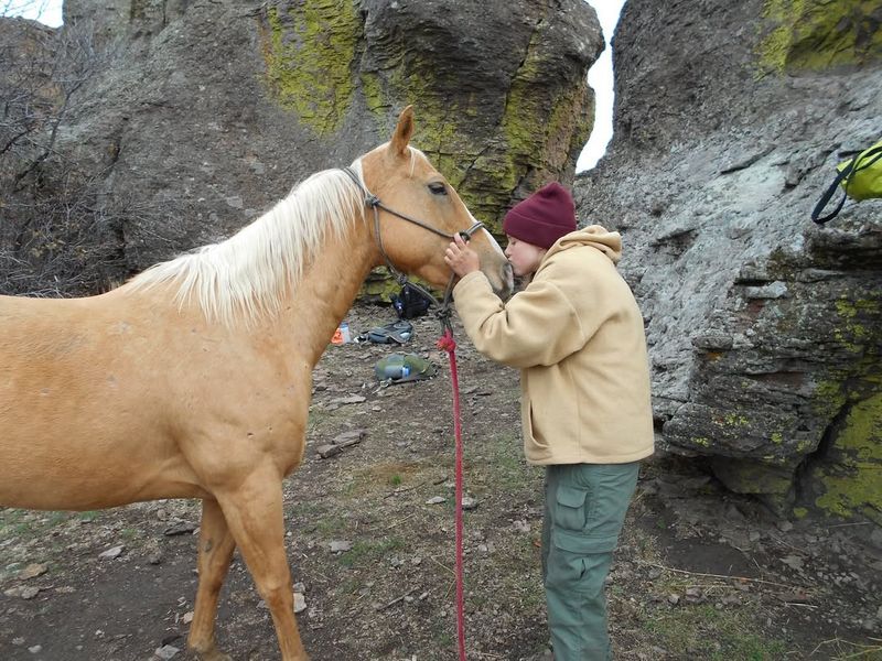 Horse Emotional Connections