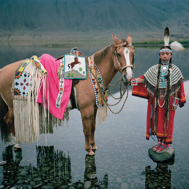 Horses in Native American Culture