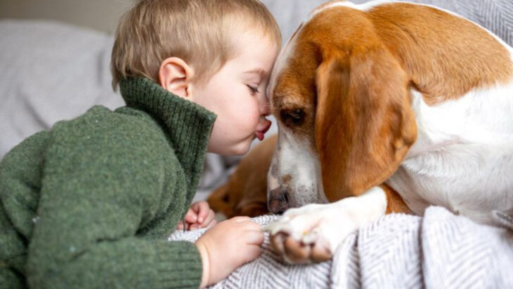 How to Find the Perfect Dog to Match Your Family’s Vibe