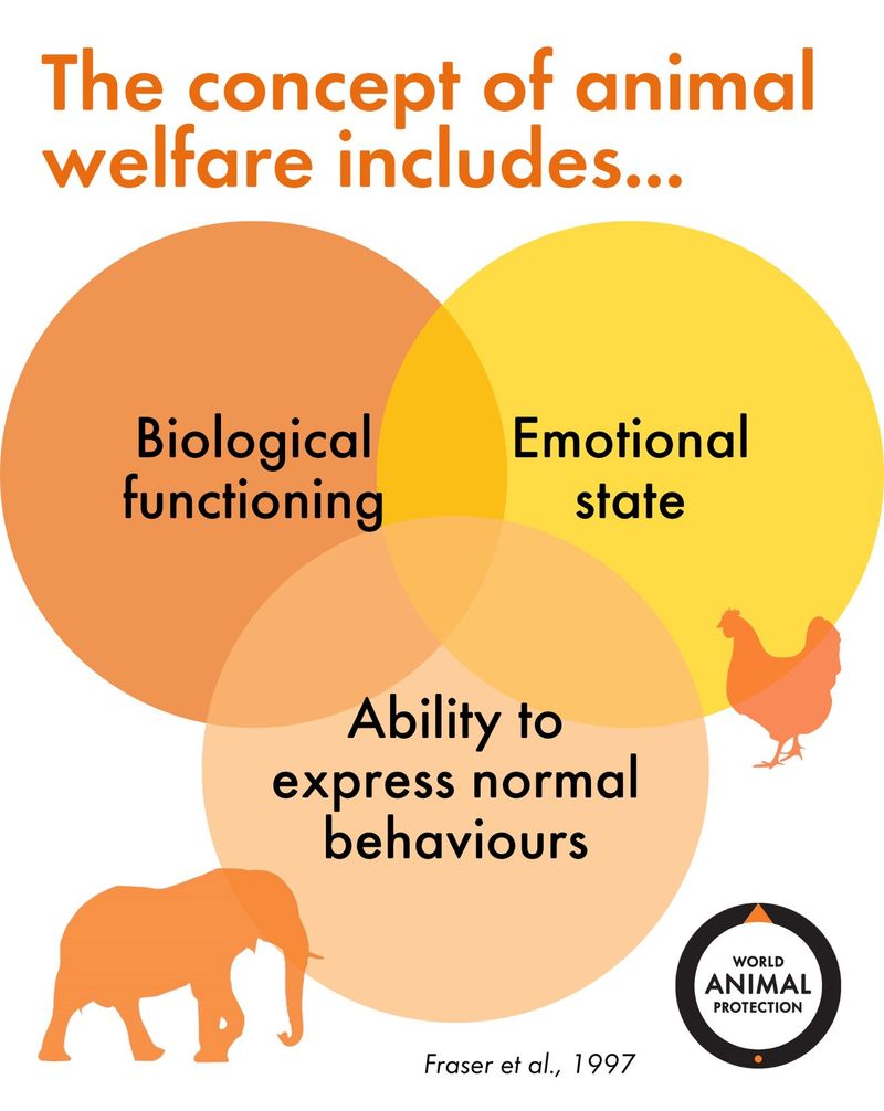 Impact on Animal Welfare