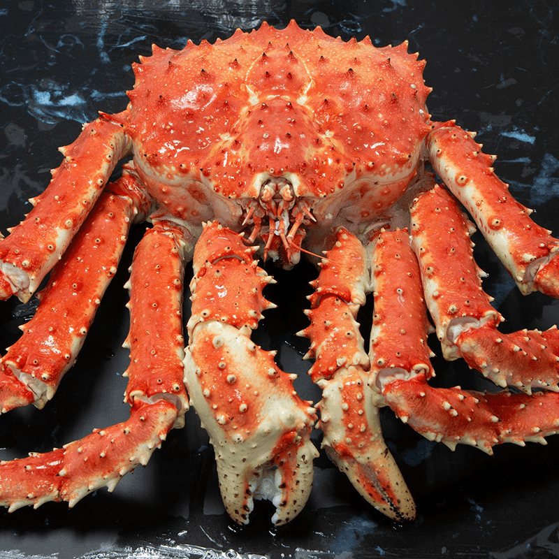 Imported King Crab