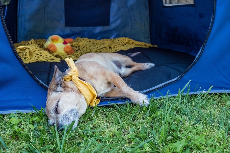 Inside a Tent