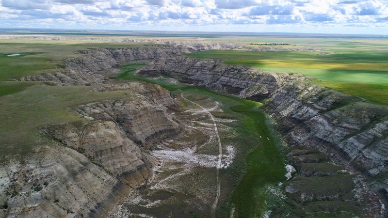 Judith River Formation, Montana