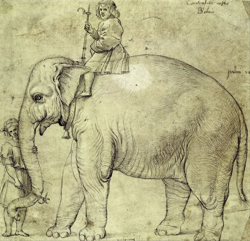 Julius Caesar’s Elephant, Hanno