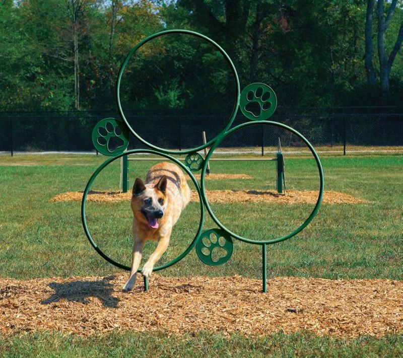 Jump Through a Hoop