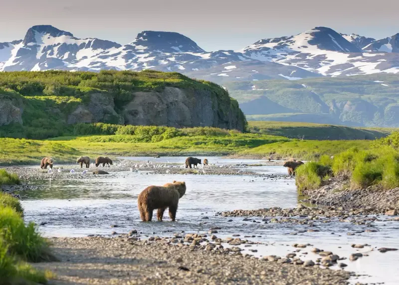 Katmai National Park, Alaska