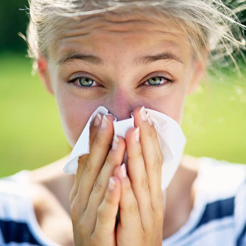 Keep Windows Closed During High Pollen Days