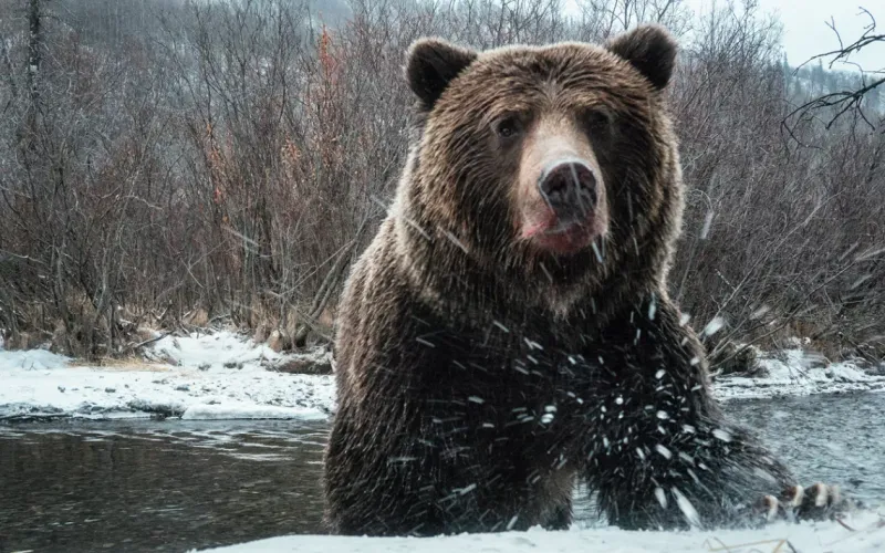 Kluane National Park, Yukon