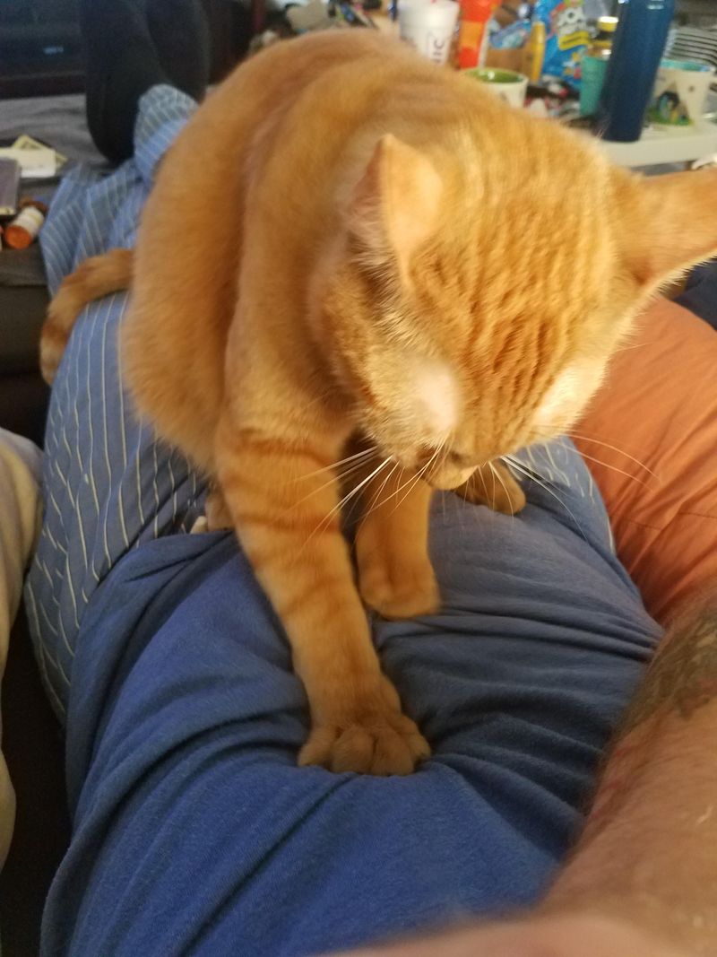 Kneading on You