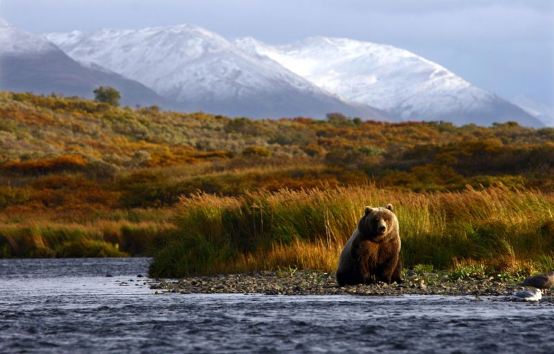 Kodiak Island, Alaska