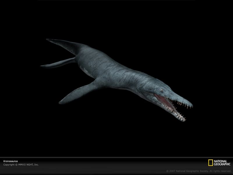 Kronosaurus